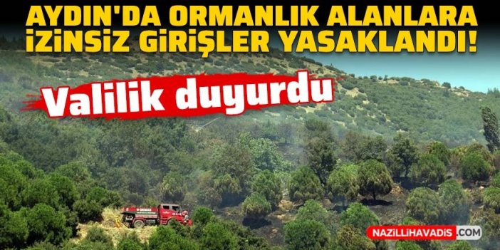 Aydın’da ormanlık alanlara izinsiz girişler 9 gün yasaklandı