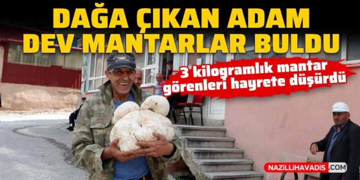 Dağa çıkan dev mantarlar buldu! 3 kilogramlık mantarı görenler hayrete düştü