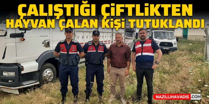 Çalıştığı çiftlikten hayvan çalan kişi tutuklandı!