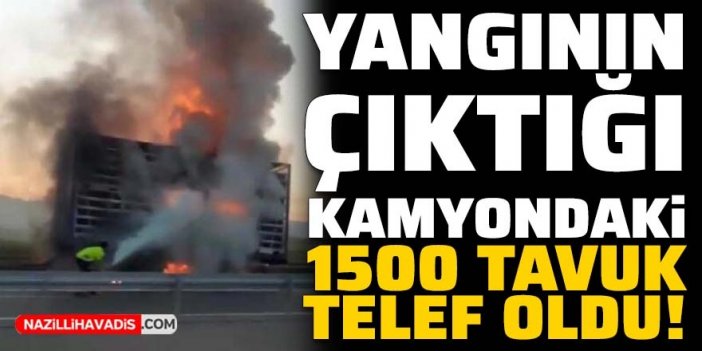 Yangının çıktığı kamyondaki 1500 tavuk telef oldu