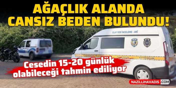 Ağaçlık alanda cansız beden bulundu!