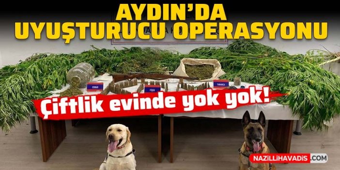 Aydın’da uyuşturucu operasyonu… Çiftlik evinde yok yok!