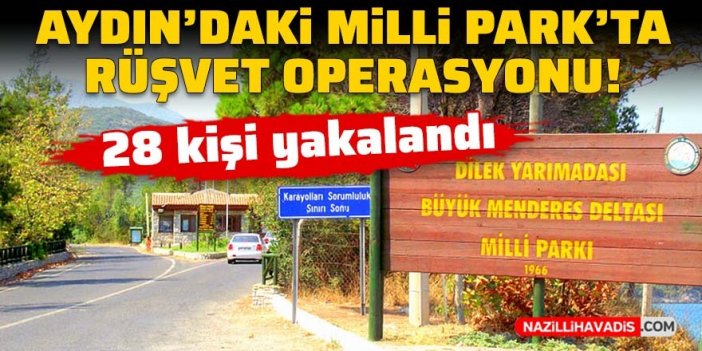 Aydın'da "milli parkta rüşvet" iddialarına ilişkin 28 gözaltı!