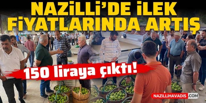 Nazilli’de ilek fiyatlarında artış: 150 liraya çıktı