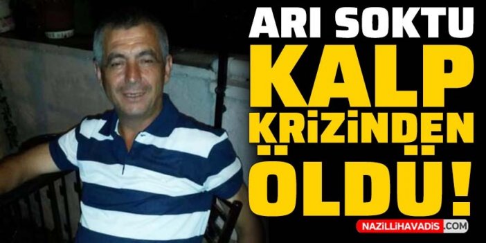 Bahçesinde arı soktu, kalp krizinden öldü!