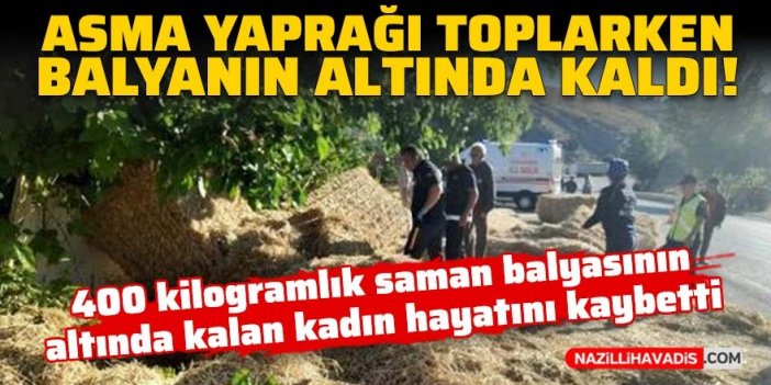 Asma yaprağı toplarken saman balyasının altında kalan kadın öldü!