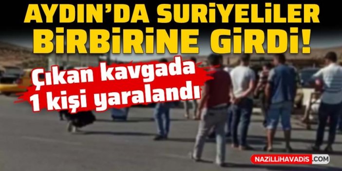 Aydın'da Suriyeliler birbirine girdi: 1 kişi yaralandı