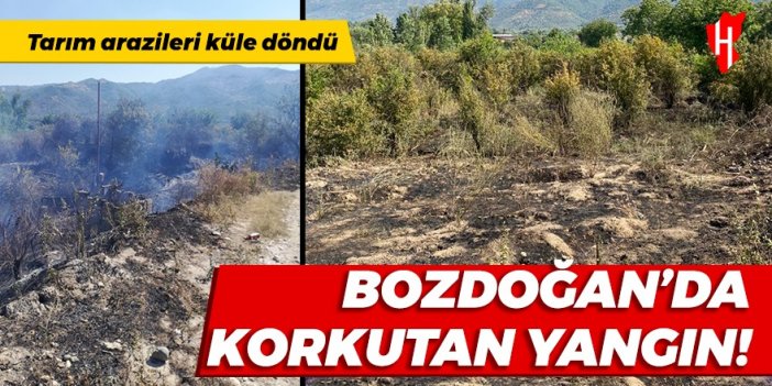 Bozdoğan’da tarım arazileri küle döndü