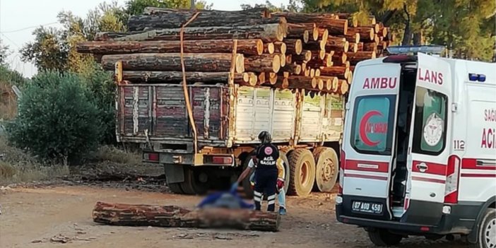 Talihsiz adam üzerine tomruk düşmesi sonucu feci şekilde can verdi