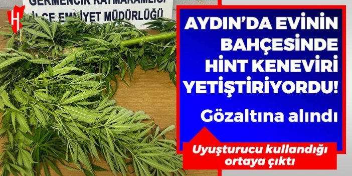 Aydın'da evinin bahçesinde Hint keneviri yetiştiren kişi yakalandı