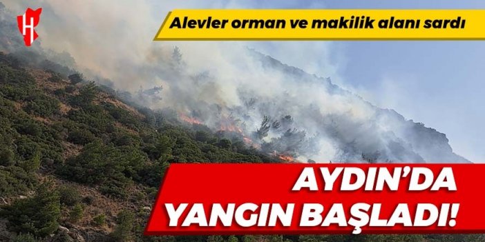 Aydın'da yangın başladı! Alevler orman ve makilik alanı sardı