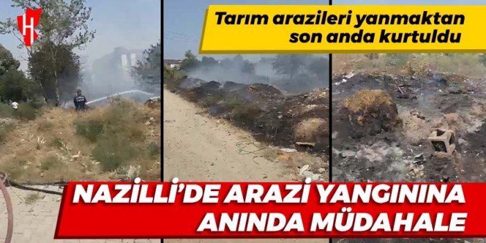 Nazilli'de tarım arazileri yanmaktan son anda kurtuldu