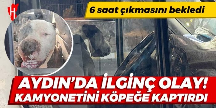 Kamyonetini köpeğe kaptıran adam 6 saat bekledi