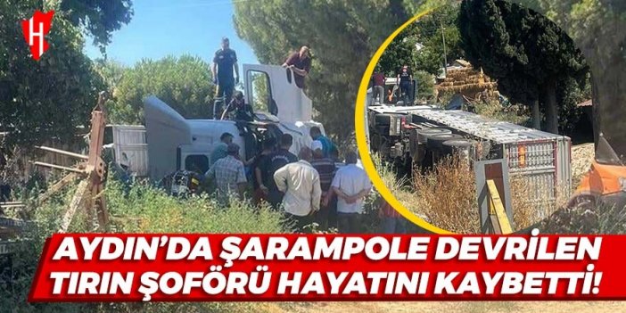 Aydın'da şarampole devrilen tırın şoförü hayatını kaybetti!