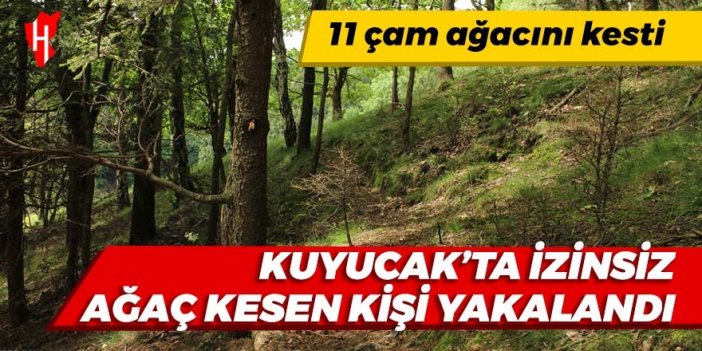 Kuyucak'ta izinsiz ağaç kesen kişi yakalandı