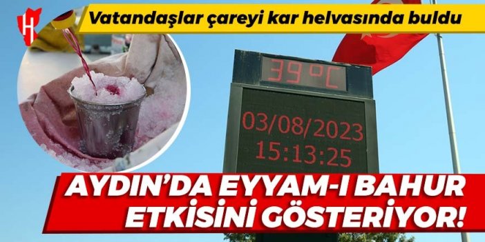 Aydın'da eyyam-ı bahur etkisini gösteriyor