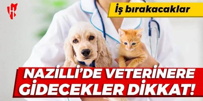 Veteriner hekimler iş bırakacak