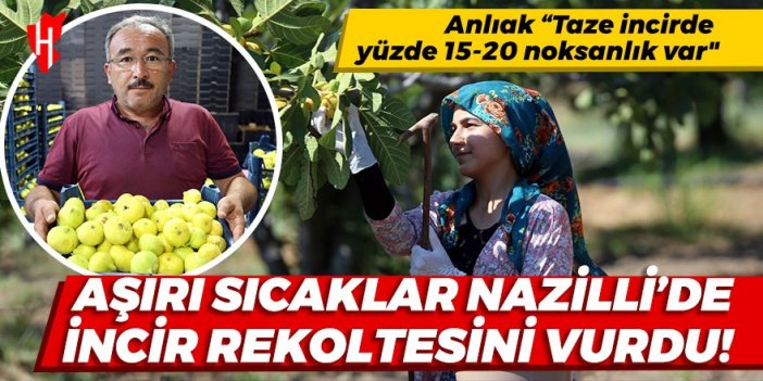 Aşırı sıcaklar Nazilli'de incir rekoltesini vurdu!