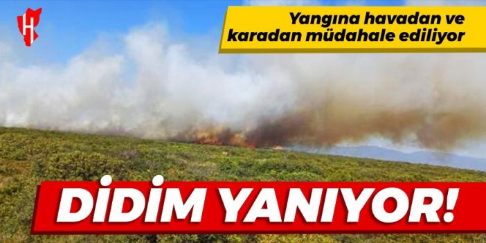 Didim yanıyor!