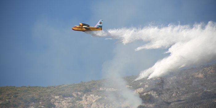 Milas'ta orman yangını! Havadan ve karadan müdahale ediliyor