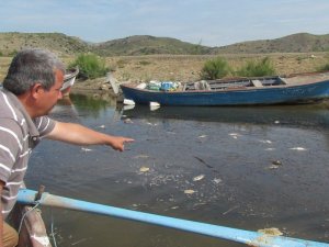 Bafa yine 'SOS' vermeye başladı