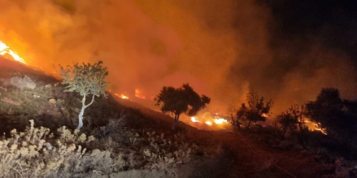 Didim ve Milas'taki yangınlar kontrol altına alındı