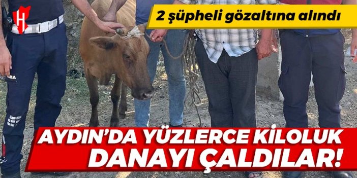 Bu sefer de danayı çaldılar