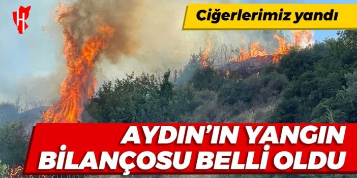 Ciğerlerimiz yandı: Aydın’ın yangın bilançosu belli oldu