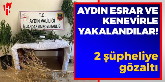 Aydın'da evde esrar ve hintkeneviriyle yakalandı: 2 şüpheliye gözaltı