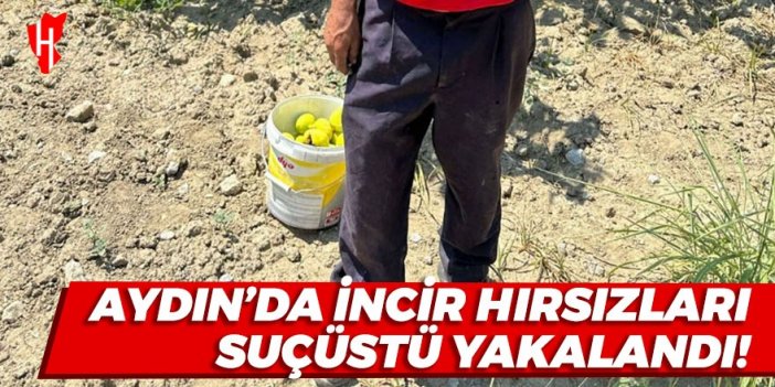 Aydın’da incir hırsızları suçüstü yakalandı!