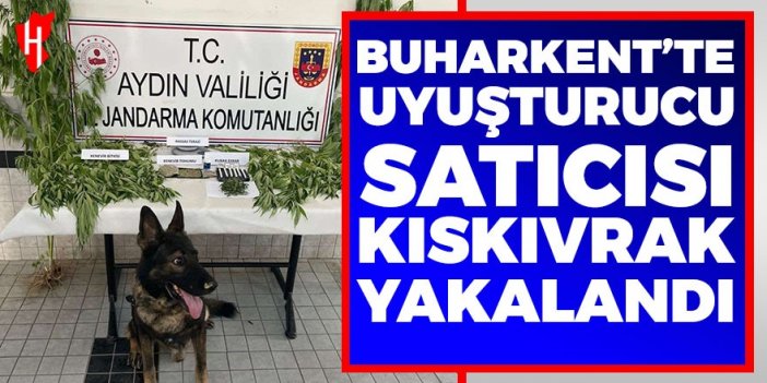 Buharkent'te uyuşturucu satıcısı yakalandı!