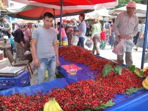Kiraz Üreticisi Kredi Faizlerinin Ertelenmesini İstiyor