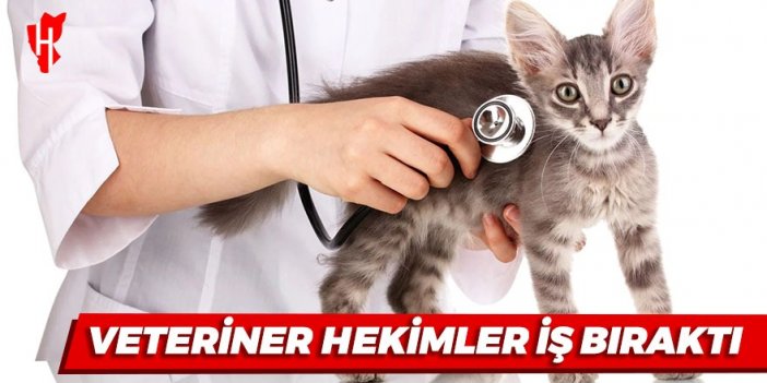 Veteriner hekimler iş bıraktı