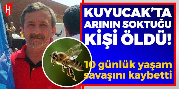 Kuyucak’ta arının soktuğu kişi öldü