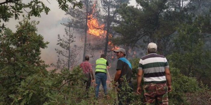 Eskişehir'deki yangına müdahale devam ediyor