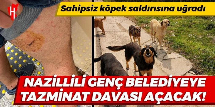 Nazillili genç sahipsiz köpek saldırısı için belediyeye tazminat davası açacak