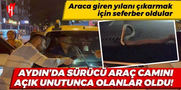 Ekipler seferber oldu: Aydın'da camı açık unutulan araca yılan girdi