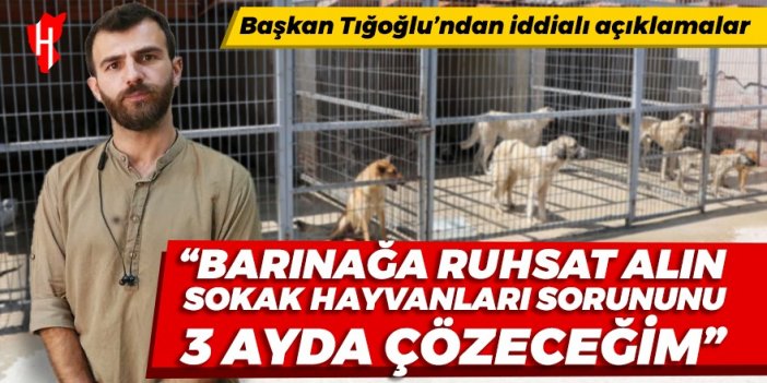 Başkan Tığoğlu’ndan hayvan barınağı açıklaması