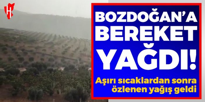 Bozdoğan’a bereket yağdı