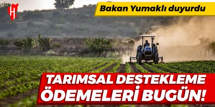 Tarım ve Orman Bakanı Yumaklı duyurdu: Tarımsal destekleme ödemeleri bugün yapılacak