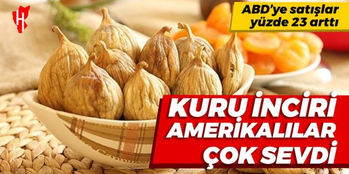 Amerikalılar kuru inciri çok sevdi: Kuru incir ihracatı yüzde 23 arttı