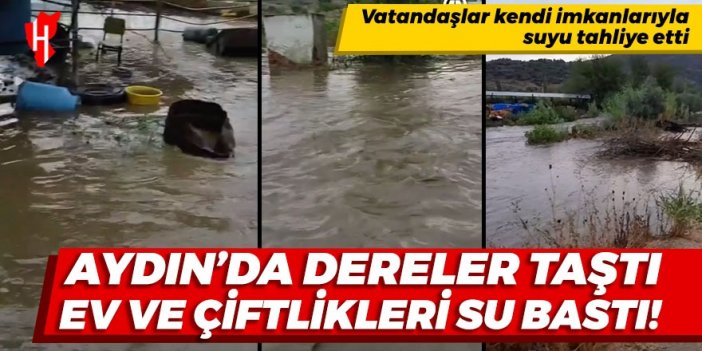 Aydın'da sağanak yağış etkili oldu: Dereler taştı, ev ve çiftlikleri su bastı!