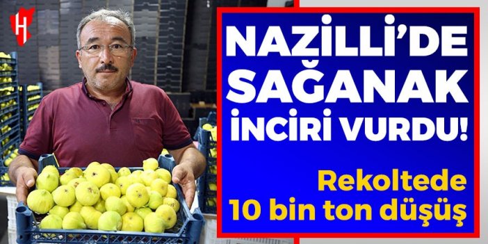 Nazilli’de sağanak inciri vurdu: Rekoltede 10 bin ton düşüş