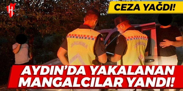 Aydın’da ormanlık alanda mangal yaktılar! Ceza yağdı