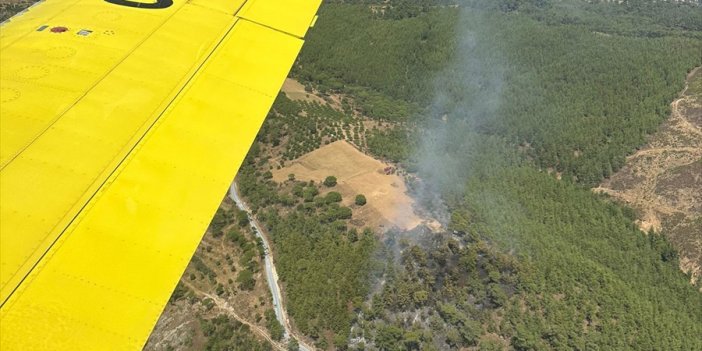 Aydın-Muğla sınırında yangın çıktı!