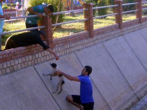 Kanala Düşen Köpeği Çarşı Esnafı Kurtardı