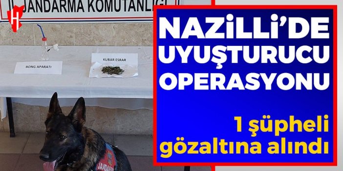 Nazilli’de uyuşturucu operasyonu: 1 şüpheli gözaltına alındı