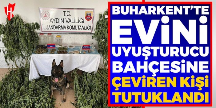 Buharkent’te uyuşturucu operasyonunda 1 kişi tutuklandı