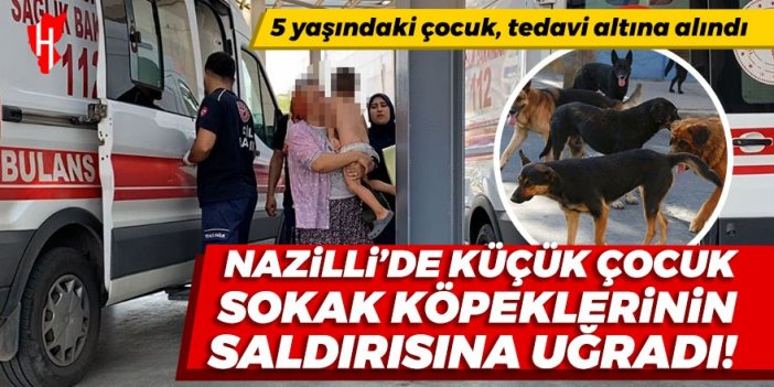 Nazilli’de 5 yaşındaki çocuk, sokak köpeklerinin saldırısına uğradı