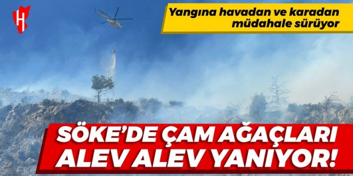 Söke'de dağlık alanda yangın!